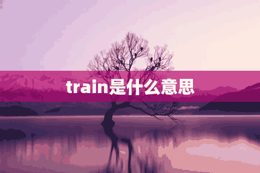 train是什么意思